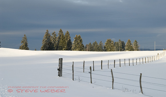 Franches Montagnes