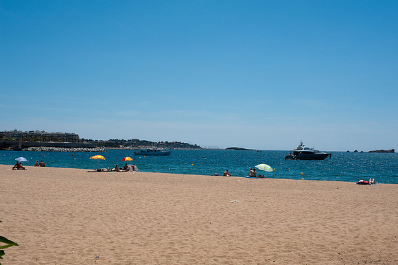 _DSC0882