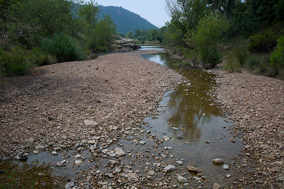 L1031872