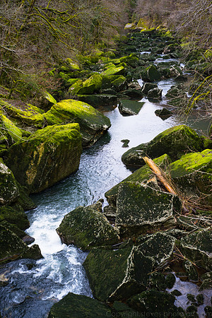 _DSC2273