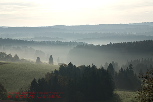 Franches Montagnes