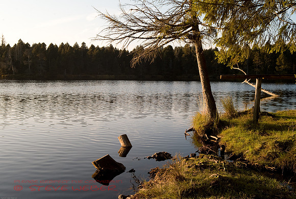 Etang de Gruère